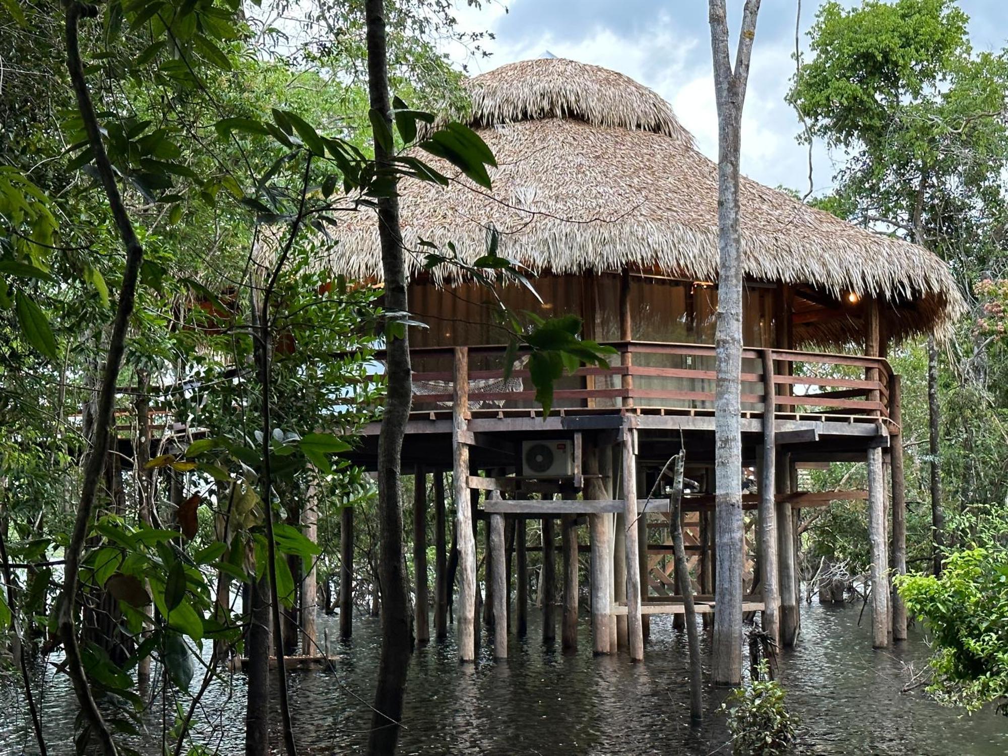 Juma Amazon